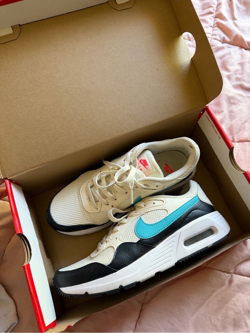Nike Air Max SC